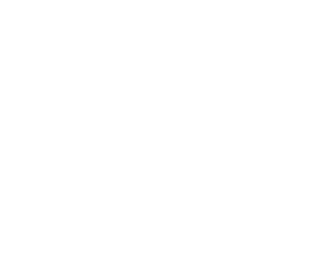  Expert Logo